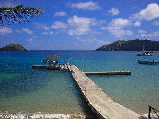 Blue Waters Dive'n