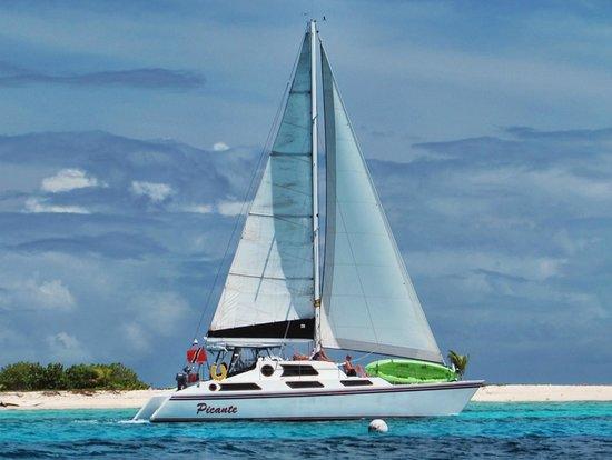 Sailing Catamaran Picante Private Day Tours