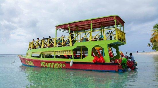 Cool Runnings Reef Tours