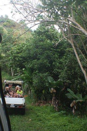 Tobago Now Off Road Jeep Safari