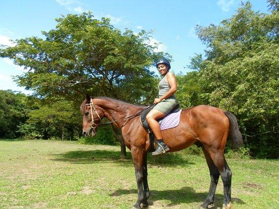 Friendship Riding Stables