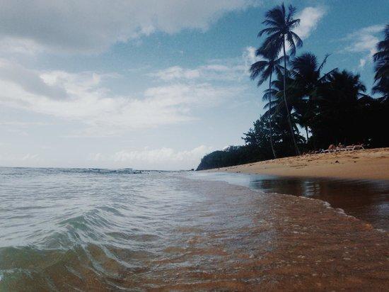 Jason Apparicio Surf Academy