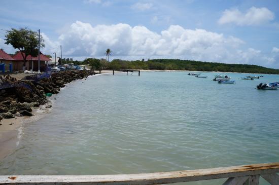 Buccoo Reef