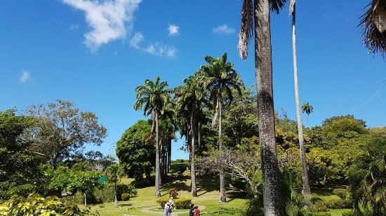 Scarborough Botanical Garden