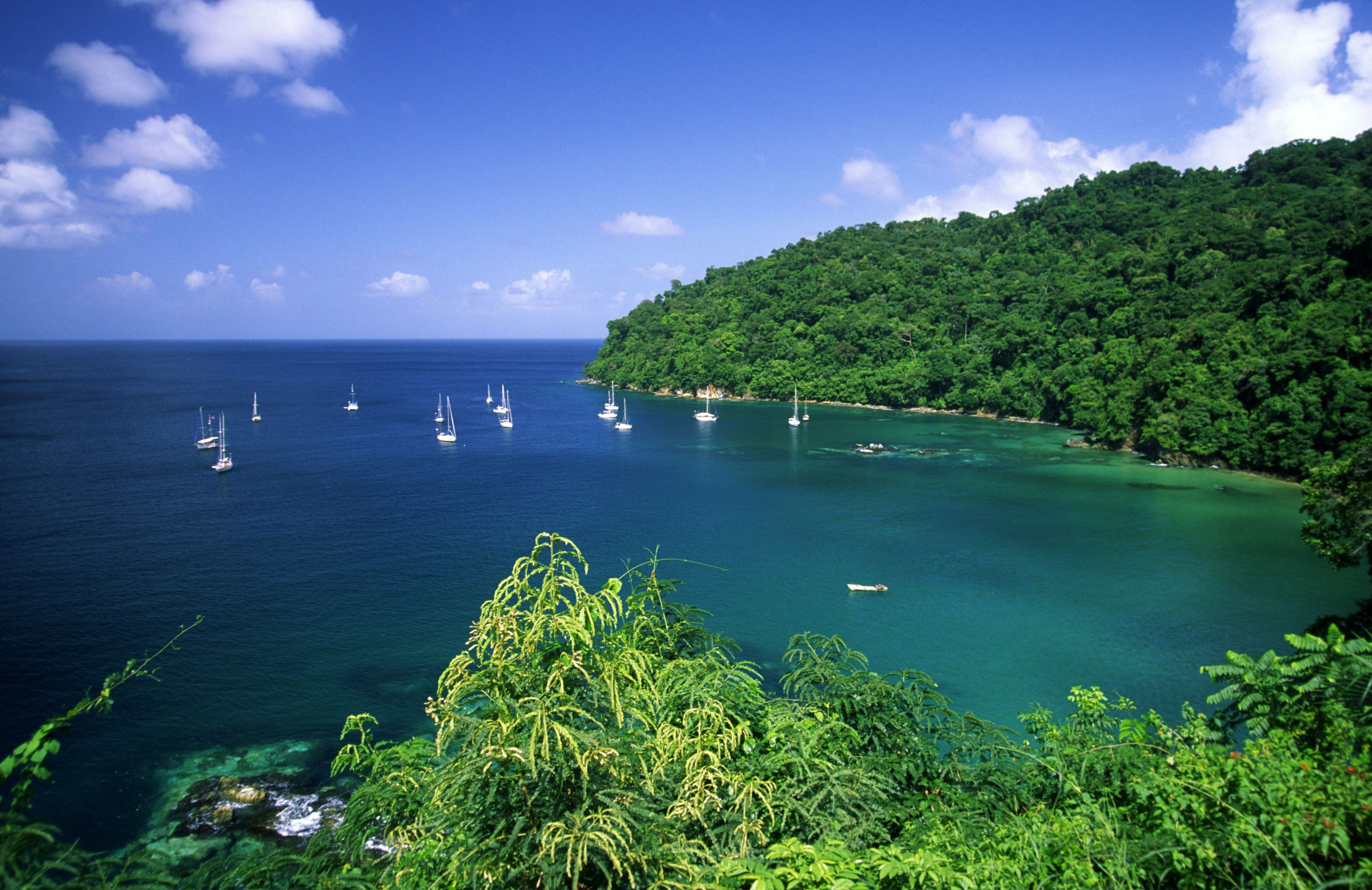 Pirate's Bay